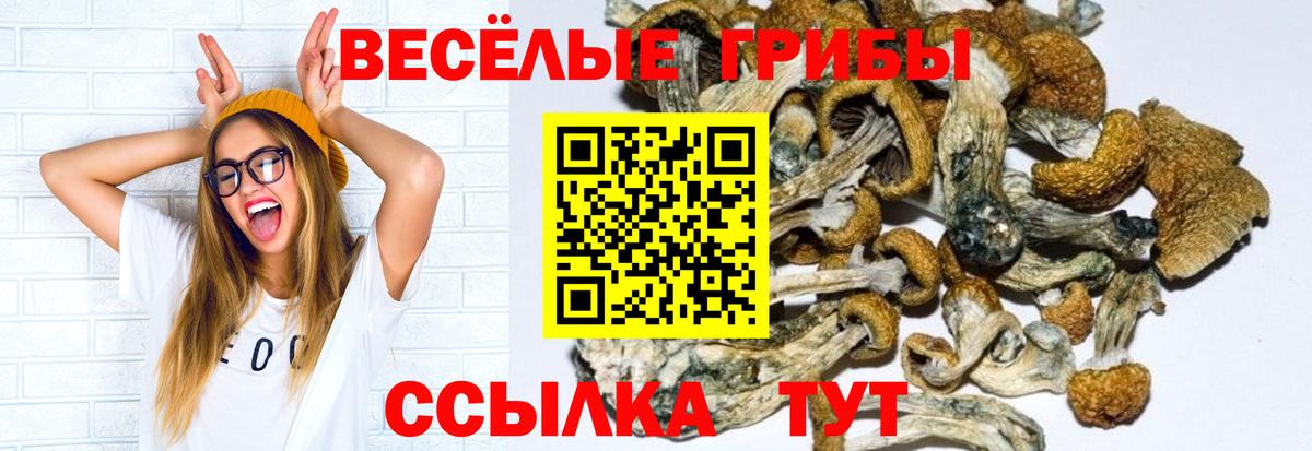Псилоцибиновые грибы MAGIC MUSHROOMS  Вход с VPN  Верхняя Пышма 