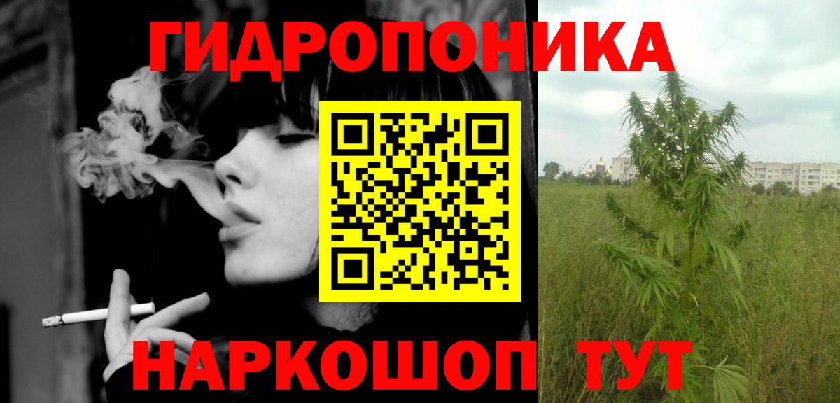Конопля конопля Верхняя Пышма